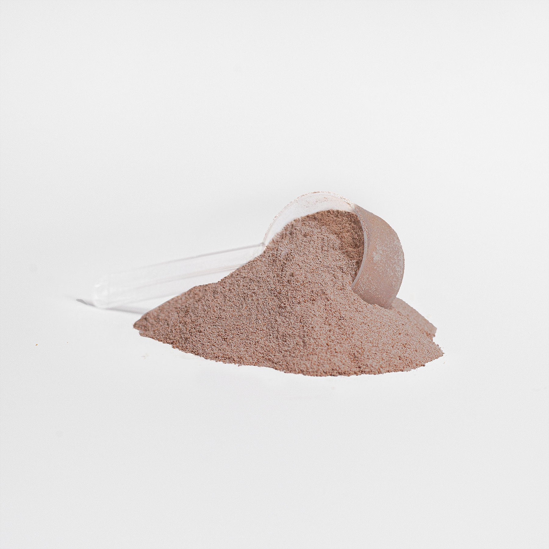 Shed Protein (Chocolate)